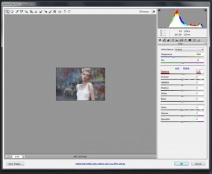 Як тонувати фотографію в фотошопі (ретушером) Як тонувати фотографію в фотошопі
