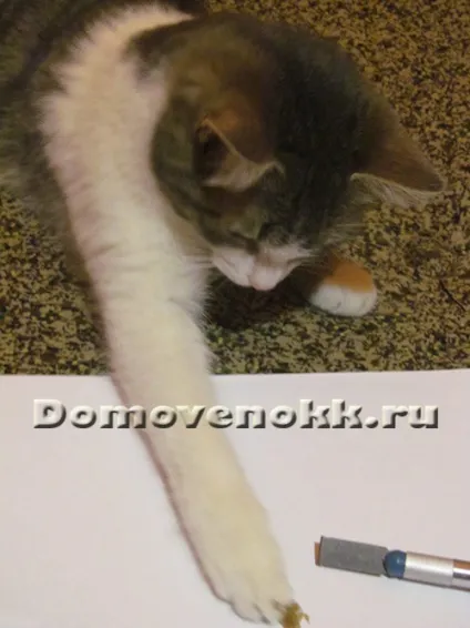 Як видалити сліди від скотчу (сліди) Як видалити сліди від скотчу