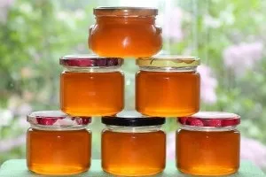 Як варити варення з кульбаб покрокові рецепти з фото (рецепти) Як варити варення з кульбаб покрокові рецепти з фото