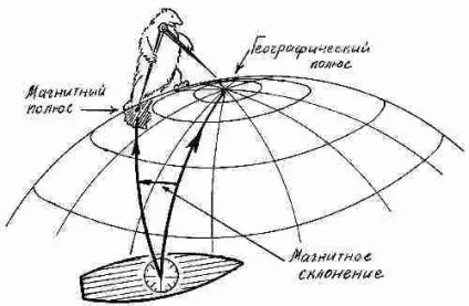 Як влаштований морський компас - фрегат «дзвінкий» (фрегат) Як влаштований морський компас - фрегат «дзвінкий»