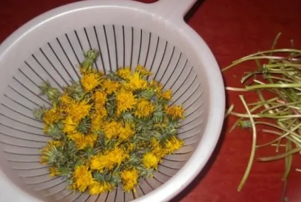 Як варити варення з кульбаб покрокові рецепти з фото (як варити варення з кульбаб) Як варити варення з кульбаб покрокові рецепти з фото