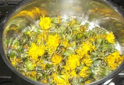 Як варити варення з кульбаб покрокові рецепти з фото (варити) Як варити варення з кульбаб покрокові рецепти з фото