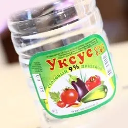 Як виглядають диванні клопи, і як можна з ними боротися (диванні) Як виглядають диванні клопи, і як можна з ними боротися