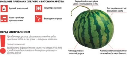Як вибрати солодкий стиглий кавун без нітратів, відео
