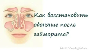 Як відновити нюх після гаймориту (нюх після гаймориту) Як відновити нюх після гаймориту