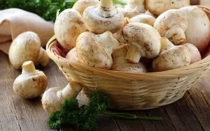 Як зберігати печериці (зберігати) Як зберігати печериці