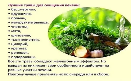 Як відновити печінку після тривалого вживання алкоголю (печінка) Як відновити печінку після тривалого вживання алкоголю