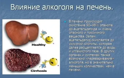 Як відновити печінку після тривалого вживання алкоголю (відновити) Як відновити печінку після тривалого вживання алкоголю