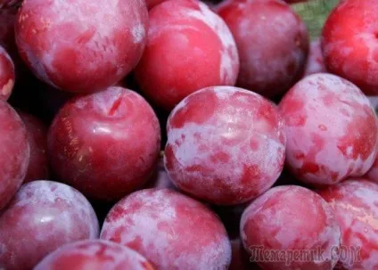 Як зберігати ягоди і плоди (потрібно терміново охолодити) Як зберігати ягоди і плоди
