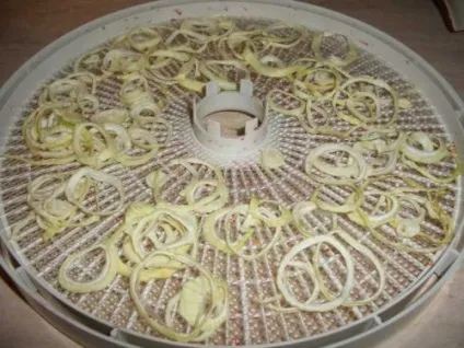 Як зберігати очищену цибулю