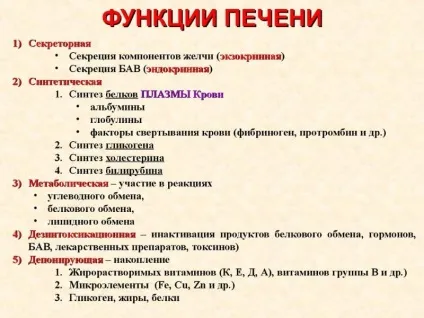 Як відновити печінку після тривалого вживання алкоголю (після) Як відновити печінку після тривалого вживання алкоголю