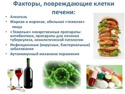 Як відновити печінку після тривалого вживання алкоголю (відновити) Як відновити печінку після тривалого вживання алкоголю