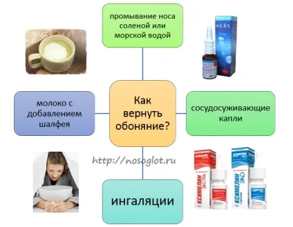 Як відновити нюх після гаймориту (гаймориту) Як відновити нюх після гаймориту