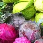 Калорійність молодої картоплі, калорійність запеченої картоплі і смаженого (запеченого) Калорійність молодої картоплі, калорійність запеченої картоплі і смаженого