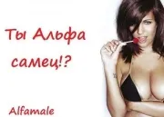 Як я став альфа-самцем
