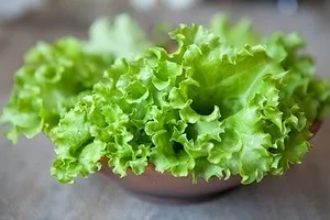 Як заготовити листовий салат на зиму рецепти кулінарії