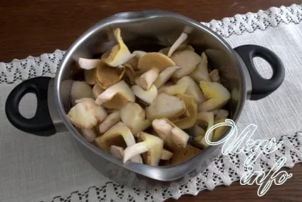 Як заморозити маслюки на зиму рецепт з фото (маслюки) Як заморозити маслюки на зиму рецепт з фото