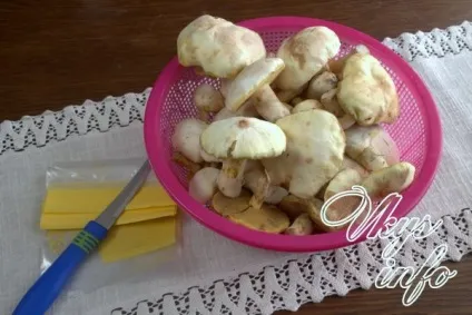 Як заморозити маслюки на зиму рецепт з фото (заморожені) Як заморозити маслюки на зиму рецепт з фото