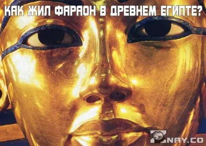 Як жив фараон в стародавньому Єгипті цікаві факти з життя правителів стародавнього Єгипту (цікаві) Як жив фараон в стародавньому Єгипті цікаві факти з життя правителів стародавнього Єгипту