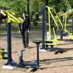 Каністерапія при ДЦП це метод лікування з собаками