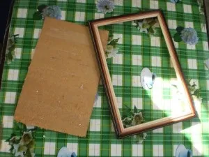 Картина зі шкіри своїми руками (шкіри своїми руками) Картина зі шкіри своїми руками