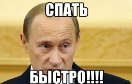 Каністерапія при ДЦП це метод лікування з собаками