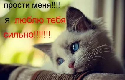 Картинки з написом прости мене