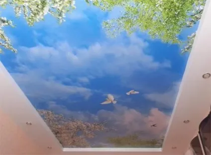 Картина на стелі, фото і відео приклади