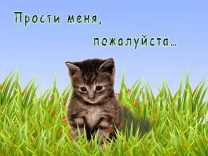 Картинки з написом прости мене
