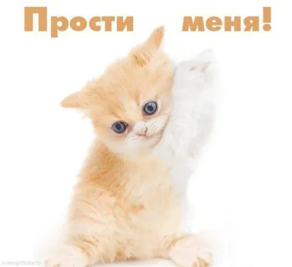 Картинки з написом прости мене