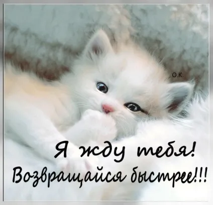 Картинки подрузі сумую