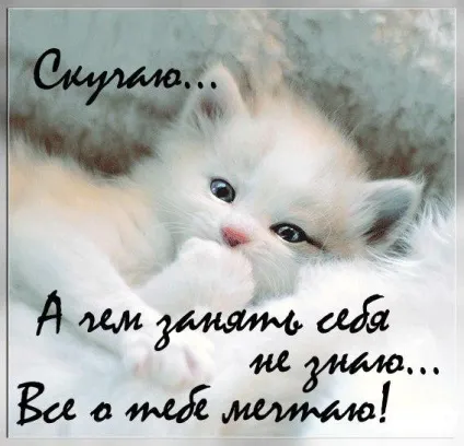 Картинки подрузі сумую