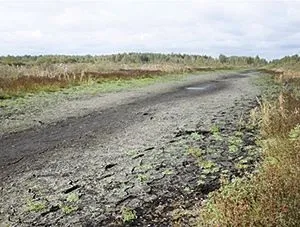 До чого призвело осушення боліт (осушення) До чого призвело осушення боліт