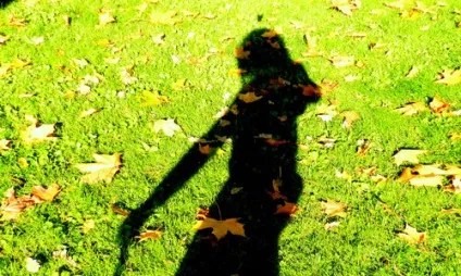 До чого сниться тінь, сонник тінь бачити уві сні що означає (сниться) До чого сниться тінь, сонник тінь бачити уві сні що означає