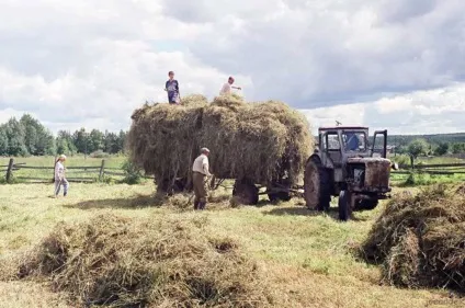 До чого сниться сіно (в копицях, тюках, палаюче і не тільки) (чого) До чого сниться сіно (в копицях, тюках, палаюче і не тільки)