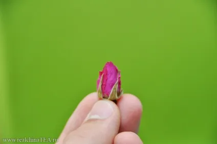 Китайська троянда 1
