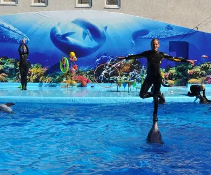 Кирилівка відгуки відпочиваючих (відгуки) Кирилівка відгуки відпочиваючих
