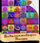 коди яноша