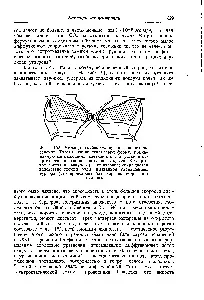 Клітини тургор - довідник хіміка 21 (виникає цьому осмотичний тиск) Клітини тургор - довідник хіміка 21