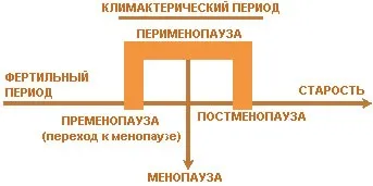 Клімакс симптоми і ознаки
