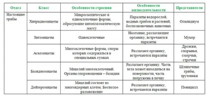 Класифікація грибів - принципи, ознаки (скачати) Класифікація грибів - принципи, ознаки