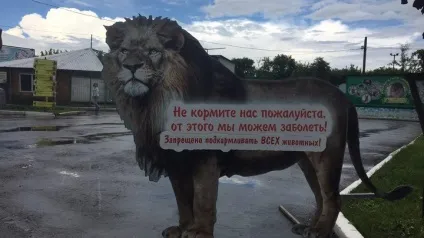 Клітини хижаків в зоопарку Черновциа обносять додатковими решітками (зоопарку) Клітини хижаків в зоопарку Черновциа обносять додатковими решітками