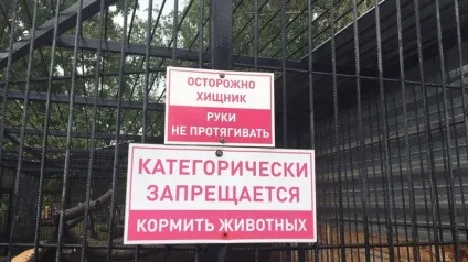Клітини хижаків в зоопарку Черновциа обносять додатковими решітками (двох малолітніх дітей) Клітини хижаків в зоопарку Черновциа обносять додатковими решітками