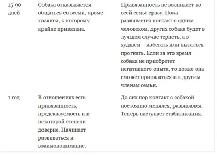 Коли ваша «собака з притулку» стане «звичайної собакою» - Софья Баскина - блог - сноб (адаптація собаки з притулку) Коли ваша «собака з притулку» стане «звичайної собакою» - Софья Баскина - блог - сноб