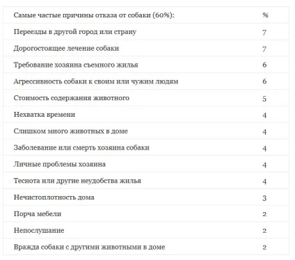 Коли ваша «собака з притулку» стане «звичайної собакою» - Софья Баскина - блог - сноб (проблеми поведінки собак) Коли ваша «собака з притулку» стане «звичайної собакою» - Софья Баскина - блог - сноб