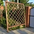 Шпалера для малини як підв'язати, як зробити, схеми посадки (шпалера) Шпалера для малини як підв'язати, як зробити, схеми посадки