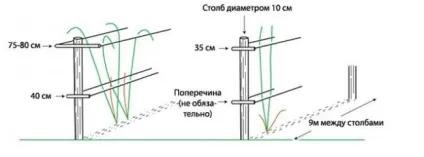 Шпалера для малини виготовлення своїми руками, посадка, вирощування, фото, відео (своїми) Шпалера для малини виготовлення своїми руками, посадка, вирощування, фото, відео