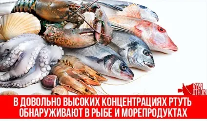 Симптоми отруєння ртуттю при розбитому градуснику що робити