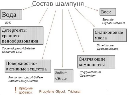 Шампунь для нормального волосся як вибрати хороший засіб, відгуки, кращі бренди (волосся) Шампунь для нормального волосся як вибрати хороший засіб, відгуки, кращі бренди