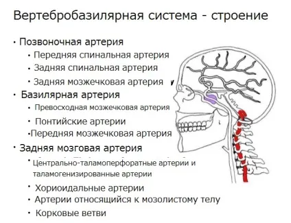 Синдром вертебробазилярной артеріальної системи симптоми і лікування (симптоми) Синдром вертебробазилярной артеріальної системи симптоми і лікування